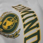 Ανδρικό φούτερ Premium Fleece με κουκούλα - Academy One - 02